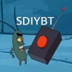 sdiybt