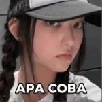 CIS x DOLA SLOWED & REVERB