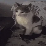 oh, won't you stay for the ride? - Sound