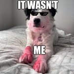 caught me on the counter, wasn't me