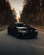 soy un conejito y busco una conejita