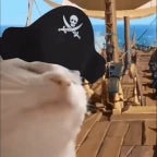 la piraterie