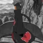 you impuited little brat