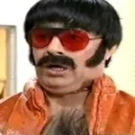 Pit Bicha - P de pitbull