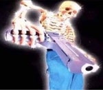 Stick Shift Knob Skull Bad to the Bone - Sound