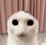 Dramatic Vine Instagram Boom Sound Effect HD - Sound