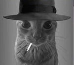 buenos días.. buenas tardes y buenas noches