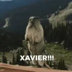 xaviersobased - birkin - Sound