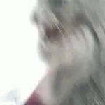 aggressive kitty