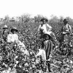 de beste tijden ooit