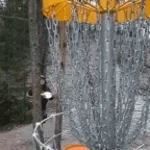 Disc Golf Chains