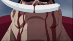 LE ONE PIECE