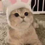 CRAVITY 크래비티 - Love or Die