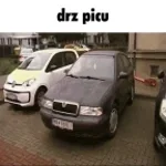drz picu oliver