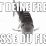 Recording 03/06/26 13:13:54