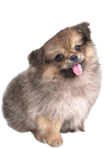 71490375754 7ac25095 9951 49ab 86a0 33b76bb5011b tezesxg4mov Yv - Sound