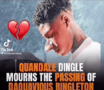 I Pooped - Quandale Dingle