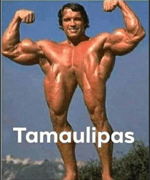 im only a human after allllllllllllllllll