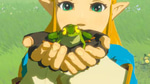 Zelda with Frog