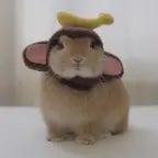 dont be scared of it baby, be aware of it... 👅