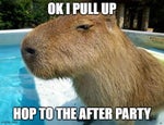 capybara ok i pull up