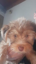 funny meme sounds(MP3 160K)