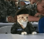 gnarpy sing young girl 1