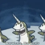 narwhals narwhals swimming in the ocean