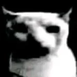 lobotomy consequences