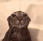 Wooden Box Breaking Sound Effect