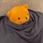 nounours javoue (copy)