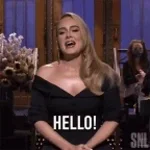Hello, it's me - Adele (copy)
