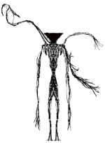 Moonglitch (integrity curious)