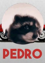 Pedro Racoon