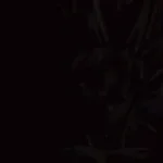 prowler-sound-effect