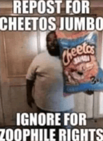 scout hey whats up frank