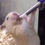 Bro hes sucking on me