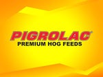 pigrolac starter feeds