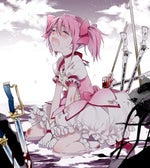 Puella Magica Madoka Magi, Face the truth