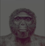 Rio de Janeiro ( French meme )