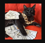 By Nish/Zyn Slow Motion