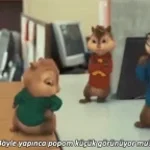 Erkin-Koray-Tek-Basimiza (alvin editon)