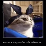 pero que barbaridades