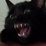 baby laughing meme