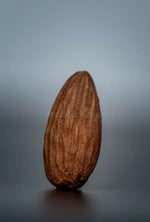 one pound fish pls buy