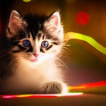 tears for tears but loud