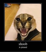 Sprunki Turk jevin phase 5