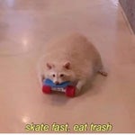 SpongeBob SquarePants Frozen Patties Later