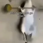 ITS ABOUT DRIVE ITS ABOUT POWER