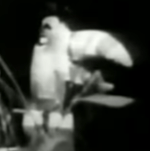 Surfin Bird